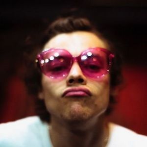 Meet your Posher, Holly